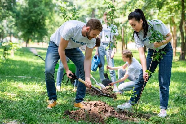 Irrigation Management